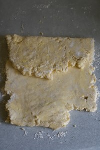 DSC04501