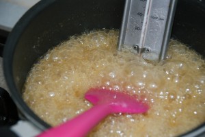 toffee apple biscuits 019