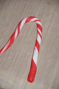 christmas 081