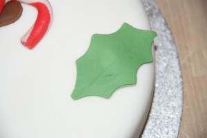 christmas 086