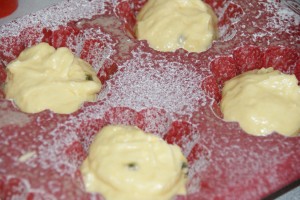 shortbread 441