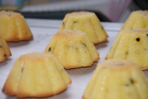 shortbread 442