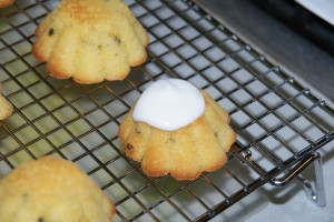 shortbread 445