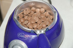reindeer pops 010