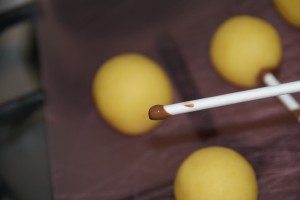 reindeer pops 012