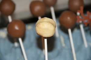 reindeer pops 038
