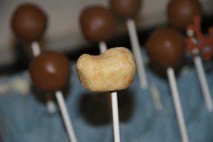 reindeer pops 039