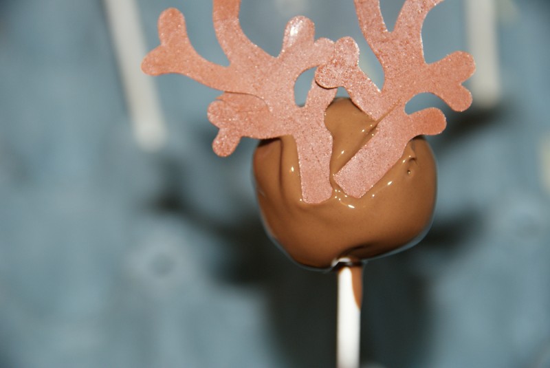 Day 10 Reindeer Cake Pops & Marzipan Balls Baking, Recipes and