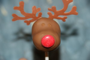 reindeer pops 045