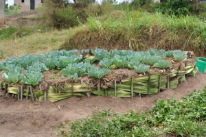Rwanda Day 3 007