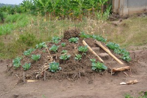 Rwanda Day 3 008