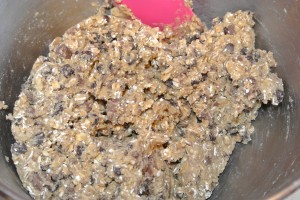 choc chip cookies 011