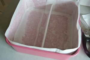 RV Carrot Battenberg 022