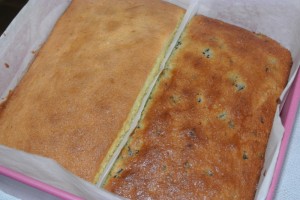 RV Carrot Battenberg 046