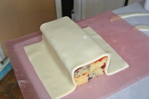 RV Carrot Battenberg 063