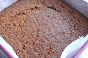 RV Carrot Battenberg 079