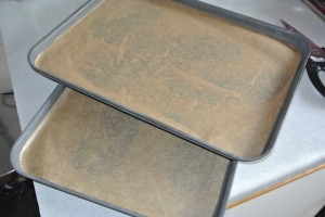 RV Carrot Battenberg 081