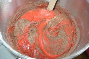 RV Carrot Battenberg 089