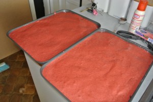 RV Carrot Battenberg 109