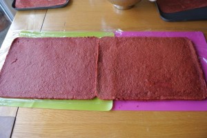 RV Carrot Battenberg 188
