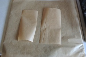 jan projects 099