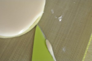 jan proj3 009