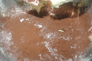 cookies 027
