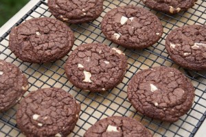 cookies 341
