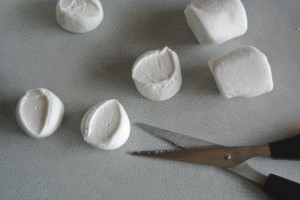 Marshmallow Sweetie Flowers 001