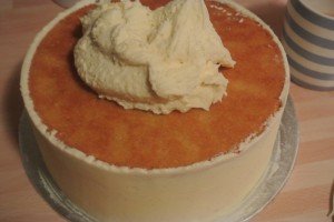 Vanilla Layer Celebration Cake 059