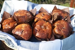 Chocolate Orange Panettone